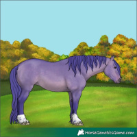 Horse Color:Watercolor Brown Dun 