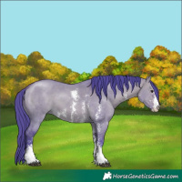 Horse Color:Watercolor Bay Dun Sabino 