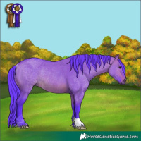 Horse Color:Watercolor Brown Dun Rabicano 