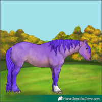 Horse Color:Watercolor Brown Dun Rabicano 
