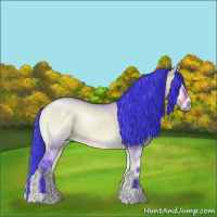 Horse Color:Watercolor Bay Onyx 