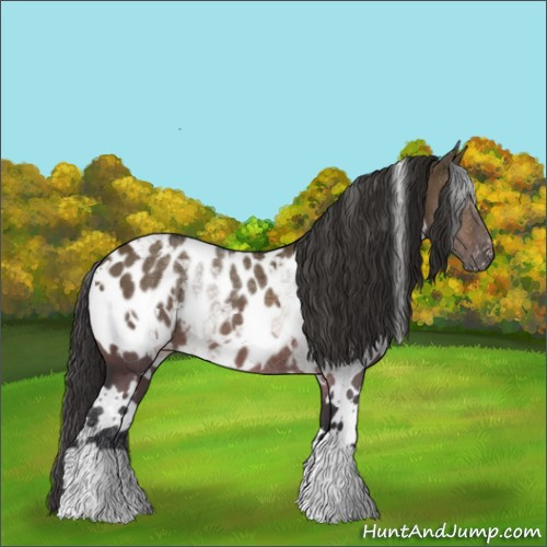 Horse Color:White Spotted Brown Dun Near Leopard 