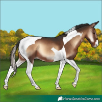 Horse Color:Liver Red Onyx Tobiano 