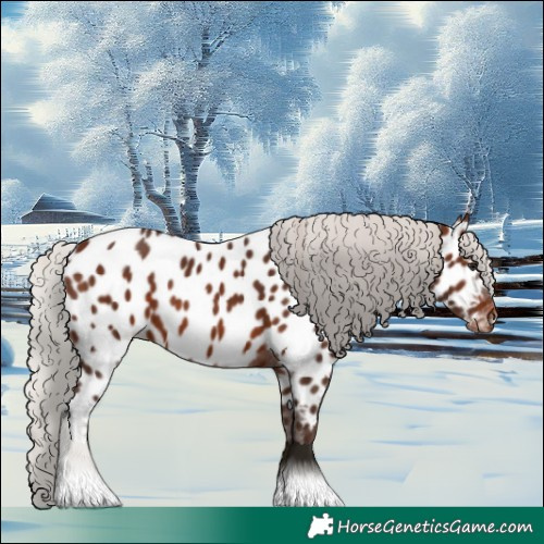 Horse Color:Silver Brown Near Leopard