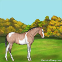 Horse Color:Bay Roan Splash Tobiano 