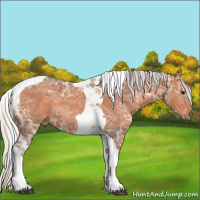 Horse Color:Silver Bay Ice Tobiano Rabicano 