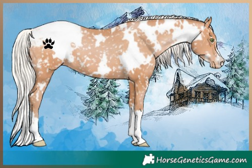 Horse Color:White Spotted Silver Bay Pearl Appaloosa 
