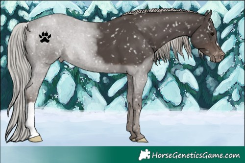 Horse Color:Silver Black Snowflake Varnish 