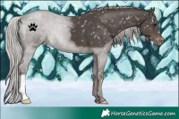 Horse Color:Silver Black Snowflake Varnish 