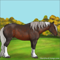 Horse Color:Silver Brown Tobiano 