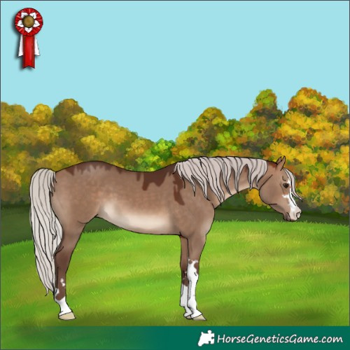 Horse Color:Silver Bay Dun 