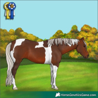 Horse Color:Silver Brown Tobiano