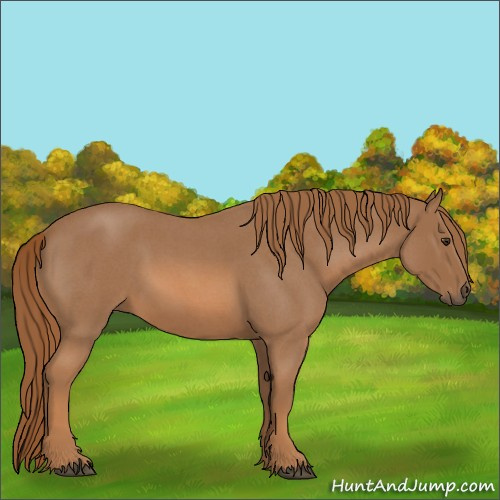 Horse Color:Red Roan 