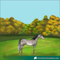 Horse Color:Sable Champagne Dun 