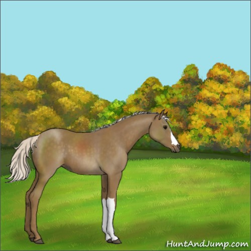 Horse Color:Silver Smoky Black 