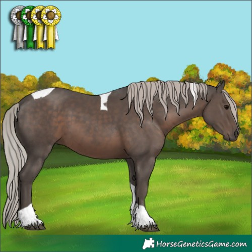 Horse Color:Silver Black Tobiano 