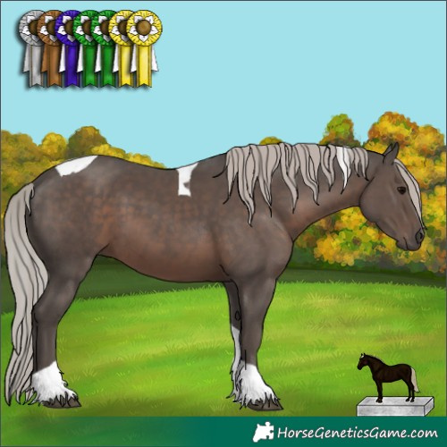Horse Color:Silver Black Tobiano 