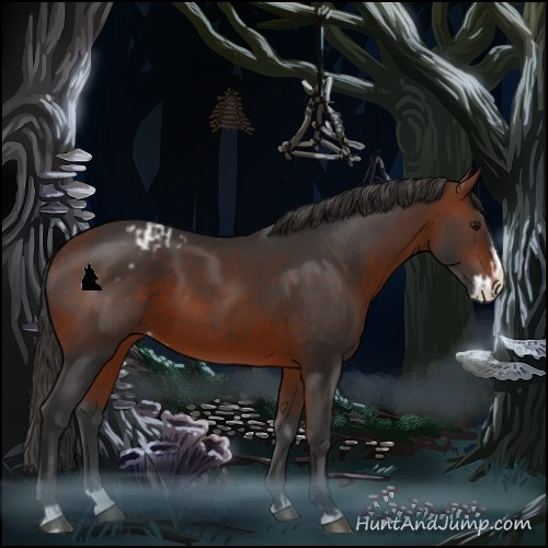 Horse Color:Bay Sabino Splash Blanket and Bay Sabino Splash Blanket