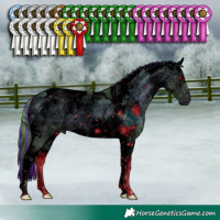 Horse Color:ERROR: UNKNOWN ANOMALY