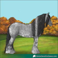 Horse Color:Blue Ice Roan Tobiano Frame and Blue Ice Roan Tobiano Frame