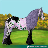 Horse Color:Watercolor White Spotted Sable Champagne Ice Blanket Rabicano
