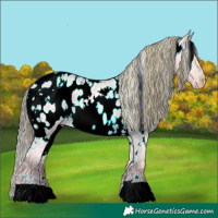 Horse Color:Watercolor White Spotted Brown Ice Pearl Dun Appaloosa