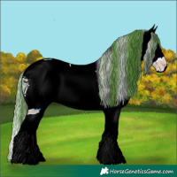 Horse Color:ERROR: UNKNOWN ANOMALY