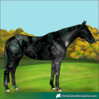 Horse Color:ERROR: UNKNOWN ANOMALY