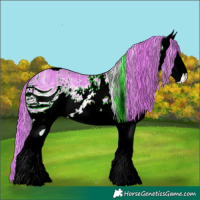 Horse Color:ERROR: UNKNOWN ANOMALY