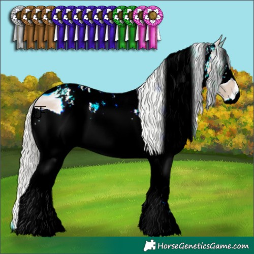 Horse Color:ERROR: UNKNOWN ANOMALY