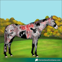 Horse Color:ERROR: UNKNOWN ANOMALY