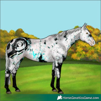 Horse Color:ERROR: UNKNOWN ANOMALY