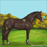 Horse Color:Liver Chestnut Sabino Varnish 