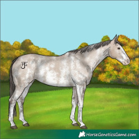 Horse Color:Liver Red Dun Sabino Appaloosa