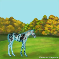 Horse Color:Void Thunderstruck Red Dun Ice Onyx Tobiano Appaloosa