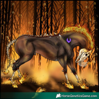 Horse Color:Bay Tobiano 