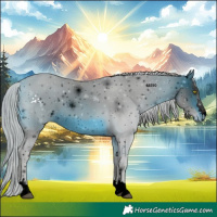 Horse Color:ERROR: UNKNOWN ANOMALY