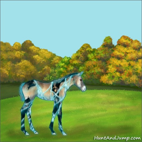 Horse Color:Void Thunderstruck Chocolate Palomino Ice Onyx Tobiano