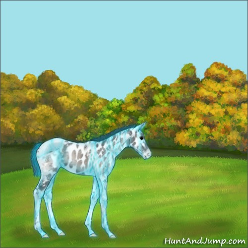 Horse Color:Platinum Thunderstruck Blue Onyx Ice Tobiano Near Leopard