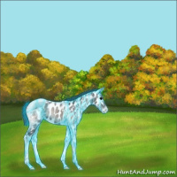 Horse Color:Platinum Thunderstruck Blue Onyx Ice Tobiano Near Leopard 