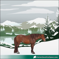 Horse Color:Chocolate Bay 