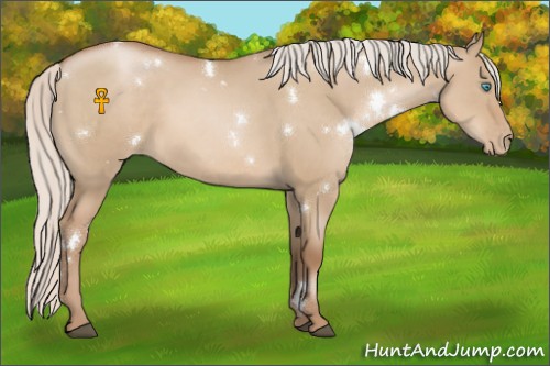Horse Color:White Spotted Silver Grullo Pearl Rabicano