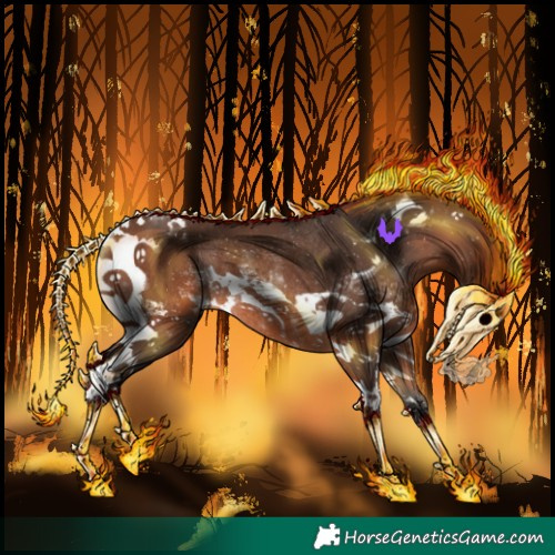 Horse Color:White Spotted Bay Tobiano Rabicano 