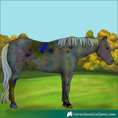 Horse Color:ERROR: UNKNOWN ANOMALY