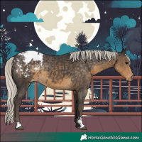 Horse Color:Silver Smoky Black Sabino Appaloosa 