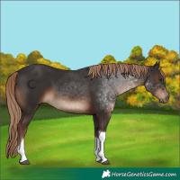 Horse Color:Liver Chestnut Tobiano 