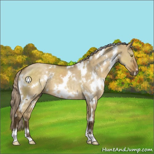 Horse Color:White Spotted Chocolate Palomino Dun 