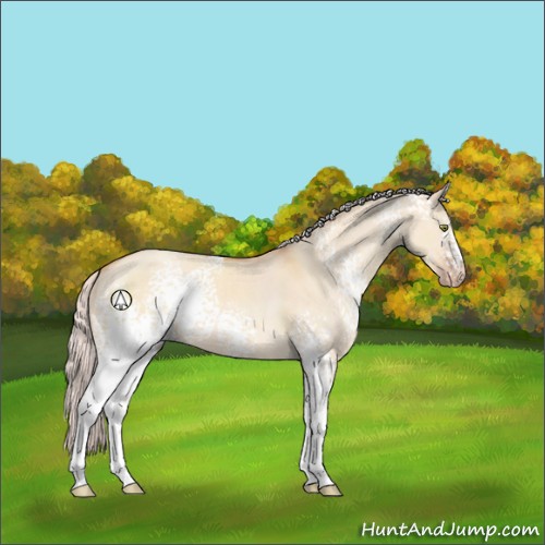 Horse Color:White Spotted Silver Sable Champagne Dun Sabino 