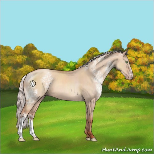 Horse Color:White Spotted Silver Classic Champagne Dun 