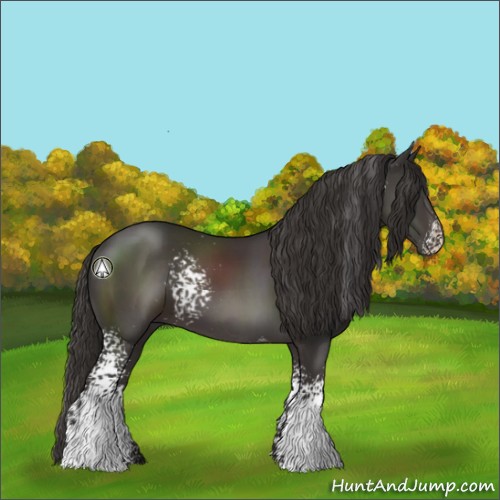 Horse Color:White Spotted Smoky Black 